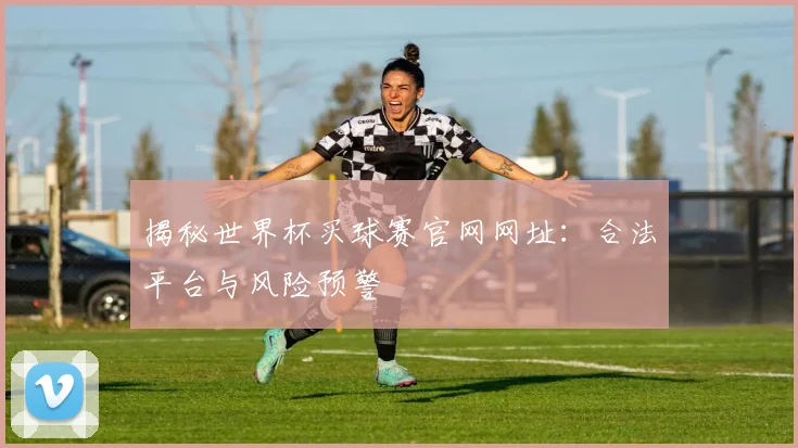 揭秘世界杯买球赛官网网址：合法平台与风险预警