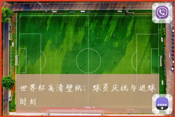 世界杯高清壁纸：球员庆祝与进球时刻